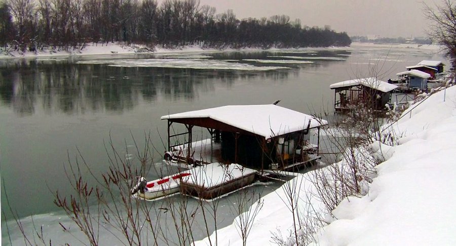 Zale�ena Sava 2012